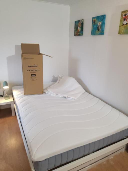 Family Friendly Apt B, 900M To Lego House, Parking, Legoland, Lalandia Billund Exteriör bild