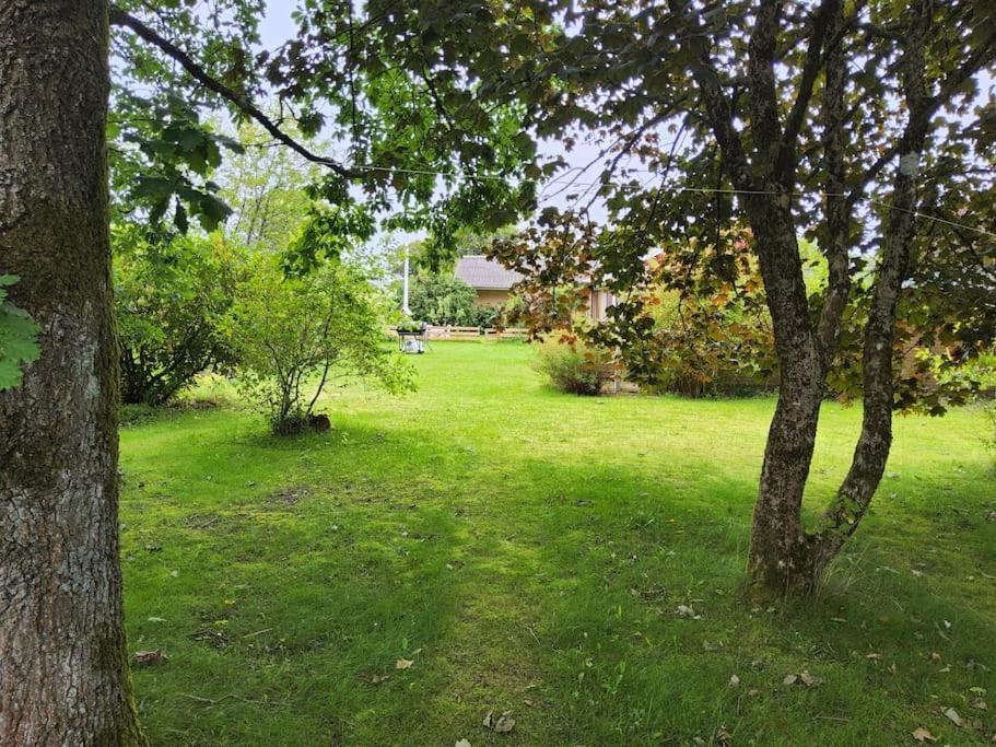 Family Friendly Apt B, 900M To Lego House, Parking, Legoland, Lalandia Billund Exteriör bild