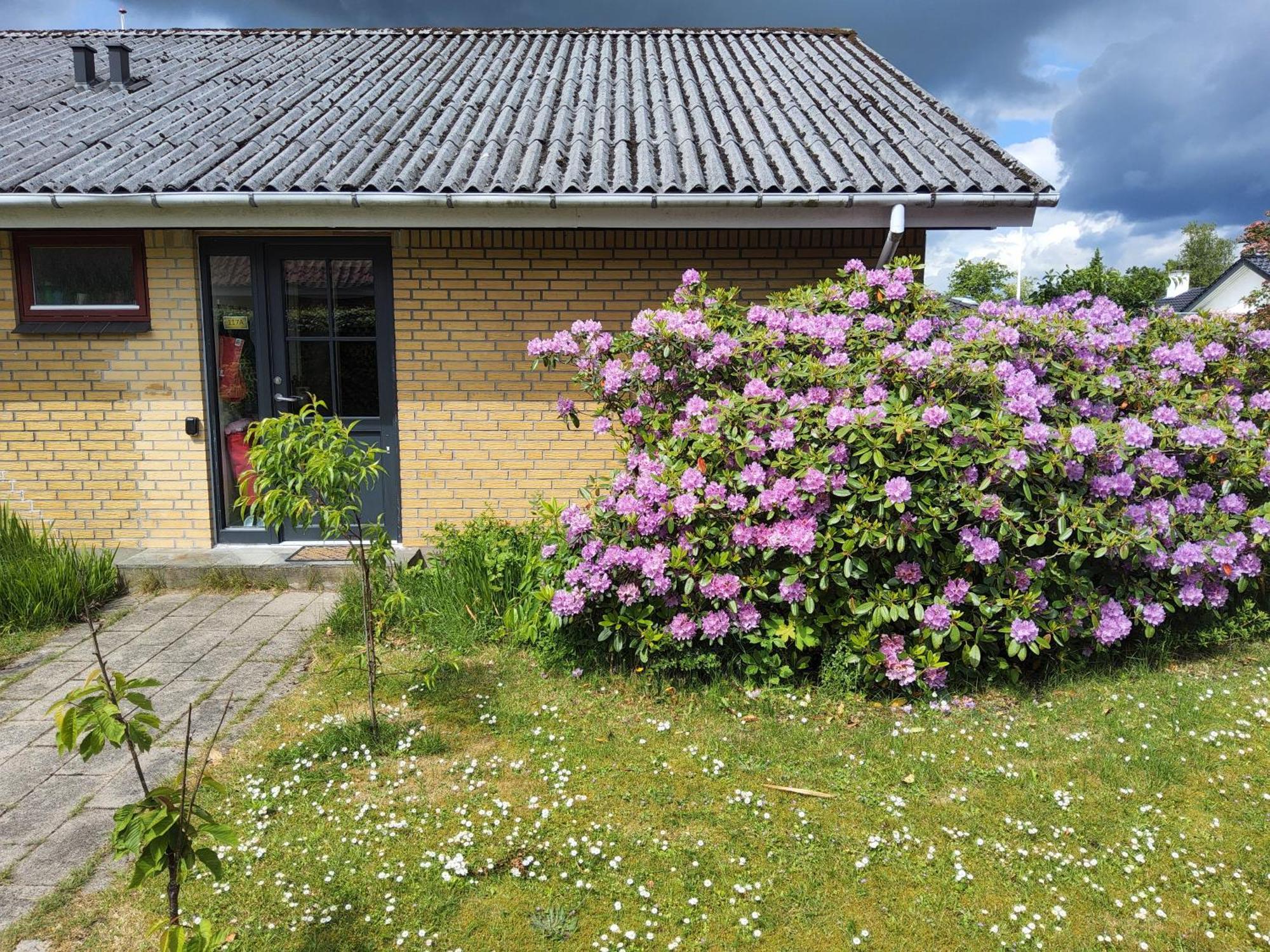 Family Friendly Apt B, 900M To Lego House, Parking, Legoland, Lalandia Billund Exteriör bild